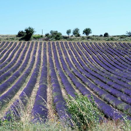 בווי-לה-בארוני La Terrasse D'Olea, Au Coeur Du Village מראה חיצוני תמונה