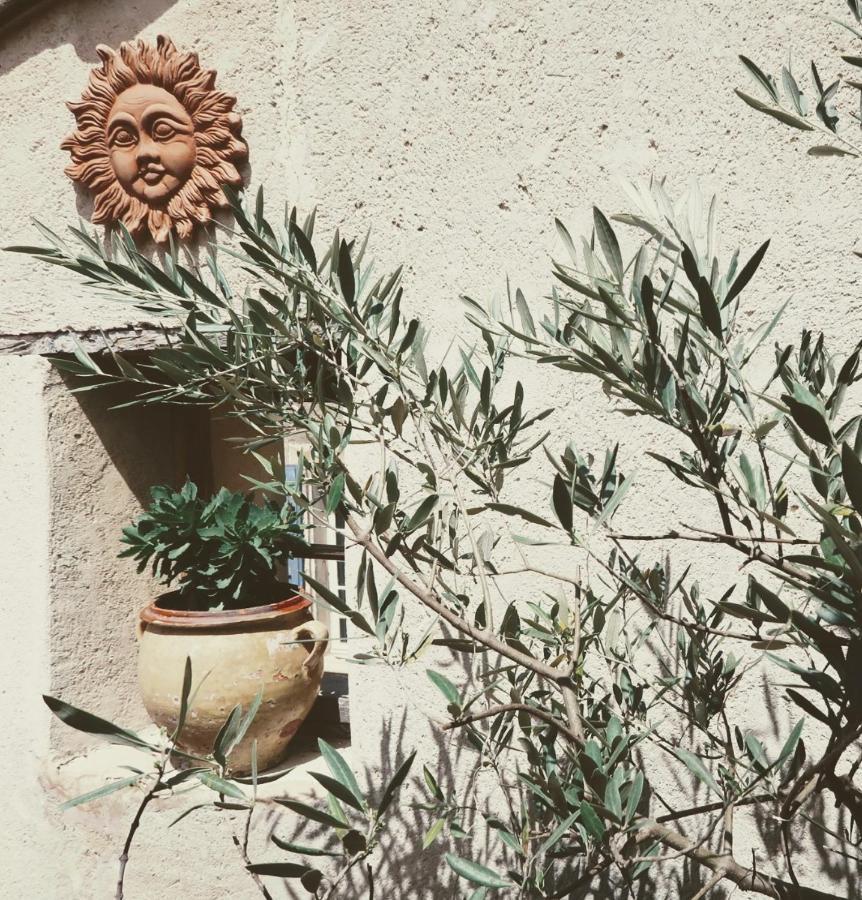בווי-לה-בארוני La Terrasse D'Olea, Au Coeur Du Village מראה חיצוני תמונה