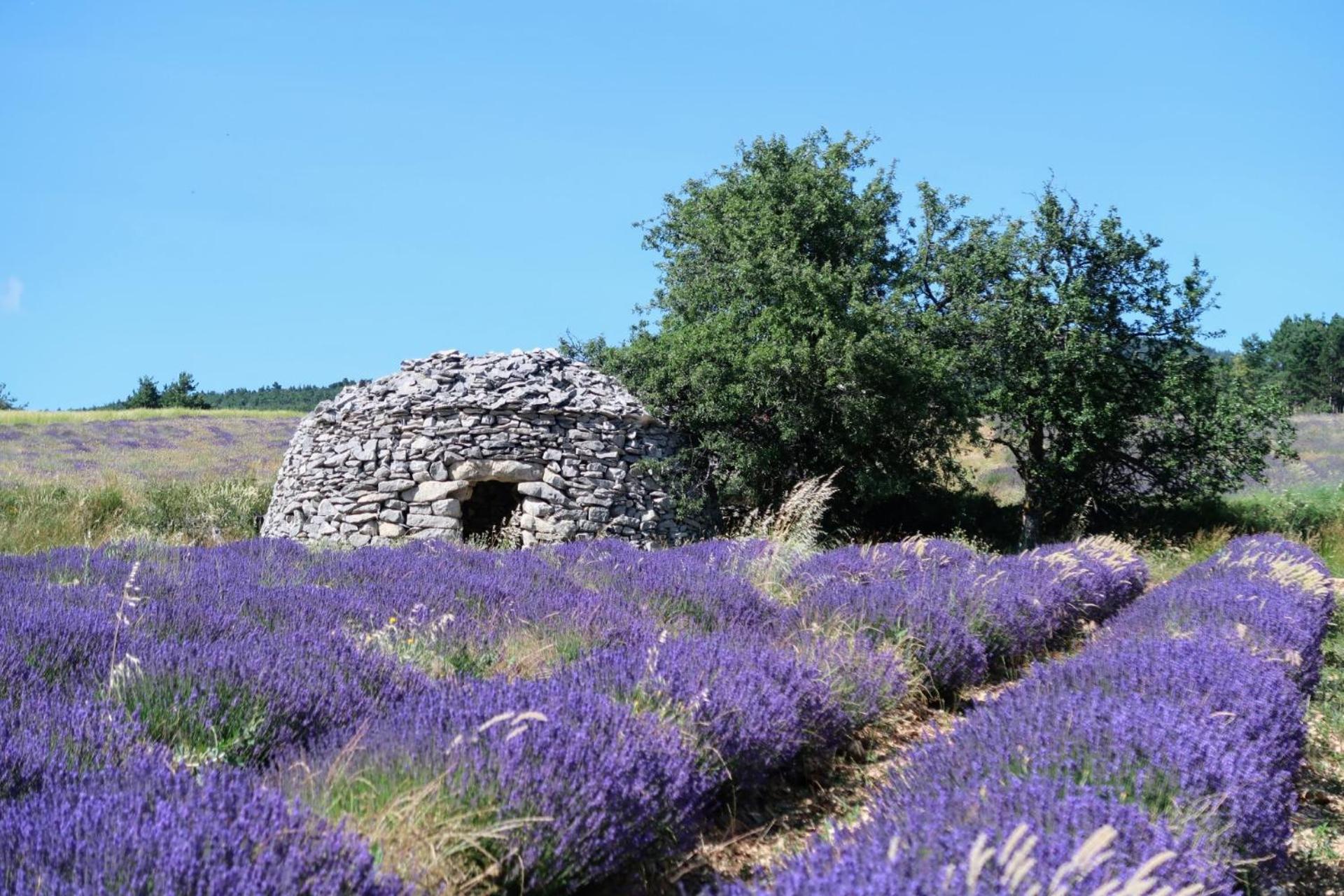 בווי-לה-בארוני La Terrasse D'Olea, Au Coeur Du Village מראה חיצוני תמונה