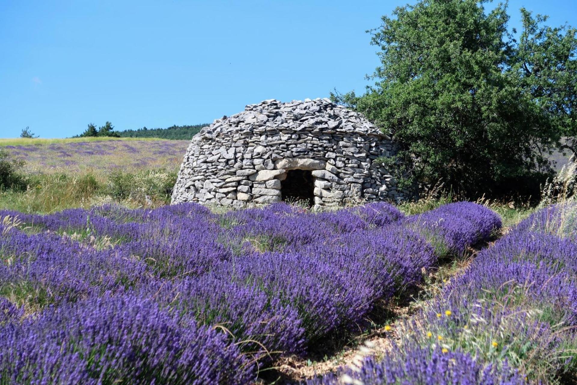 בווי-לה-בארוני La Terrasse D'Olea, Au Coeur Du Village מראה חיצוני תמונה